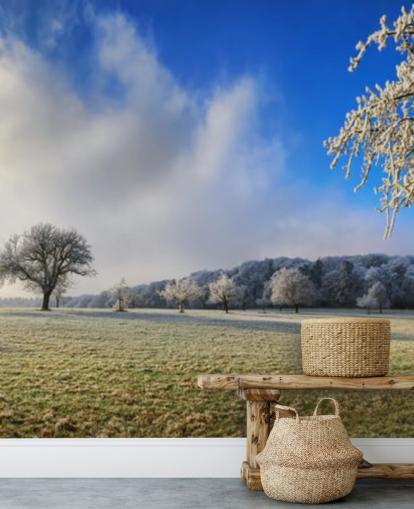 ijzig veld met witte bomen behang ijzig veld met witte bomen behang