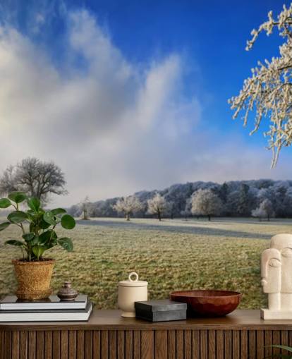 frostiges Feld mit weißen Bäumen Tapete