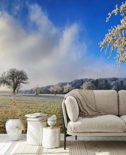 frosty field with white trees wallpaper frosty field with white trees wallpaper