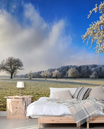 frosty field with white trees wallpaper frosty field with white trees wallpaper