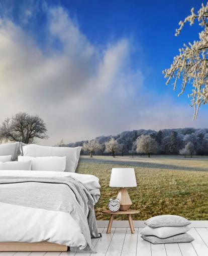 frostiges Feld mit weißen Bäumen Tapete