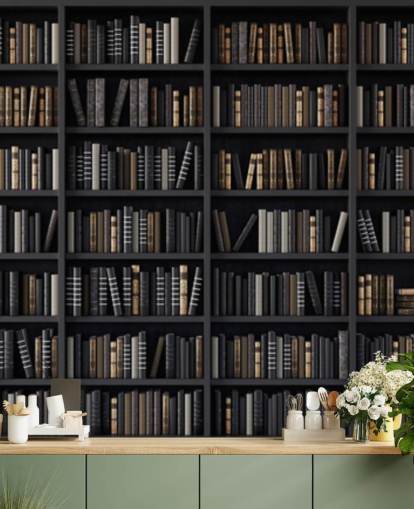 dark bookshelf cum library wallpaper