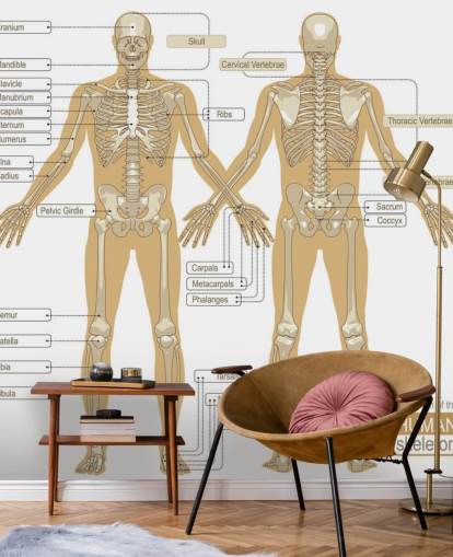Decorazione murale con diagramma dello scheletro umano