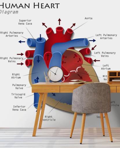 Decorazione murale con diagramma del cuore umano