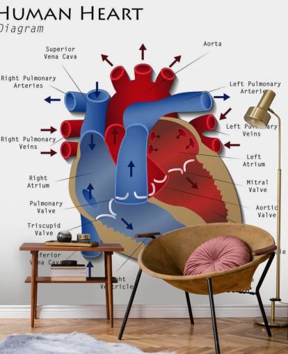 Decorazione murale con diagramma del cuore umano