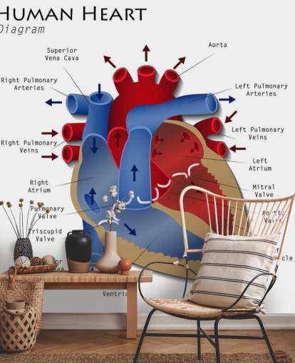 Human Heart Diagram Wall Mural
