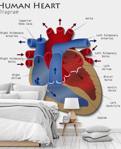Menschliches Herz-Diagramm Wandgemälde Menschliches Herz-Diagramm Wandgemälde