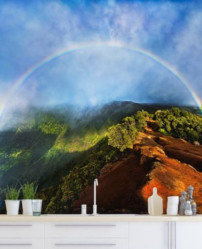 rocky mountain with a huge natural rainbow wall mural