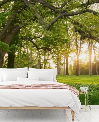 green and brown tree wallpaper mural called Springtime Forest for home offices, lounges and bedrooms