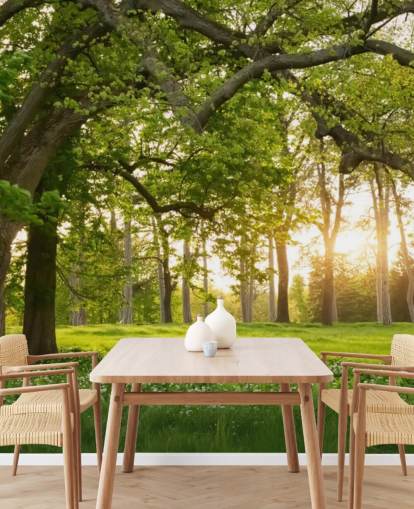 mural de papel de parede de árvore verde e marrom chamado Springtime Forest para escritórios domésticos, salões e quartos