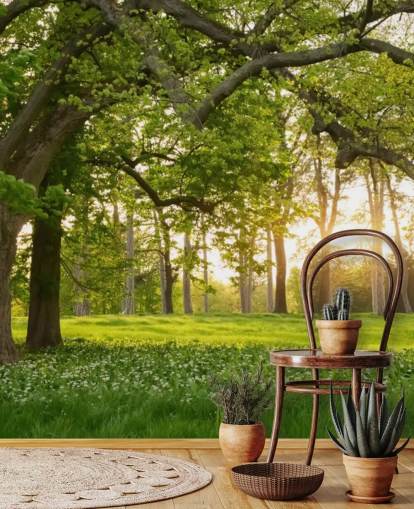 grüne und braune Baumtapete namens Springtime Forest für Heimbüros, Lounges und Schlafzimmer