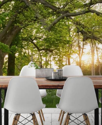 green and brown tree wallpaper mural called Springtime Forest for home offices, lounges and bedrooms green and brown tree wallpaper mural called Springtime Forest for home offices, lounges and bedrooms