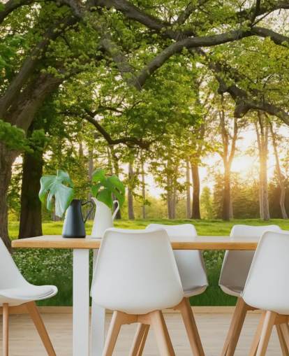 vihreän ja ruskean puun taustakuvamaalaus nimeltä Springtime Forest kotitoimistoihin, oleskelutiloihin ja makuuhuoneisiin