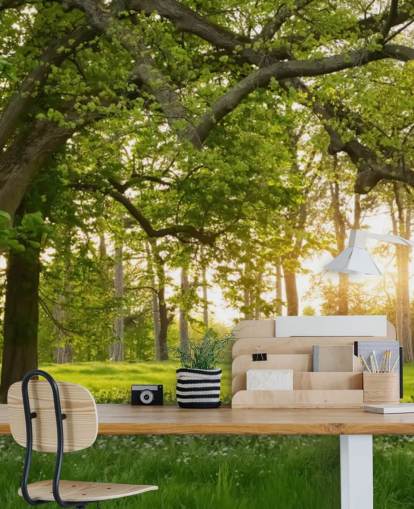 mural de papel pintado de árboles verdes y marrones llamado Springtime Forest para oficinas en casa, salones y dormitorios