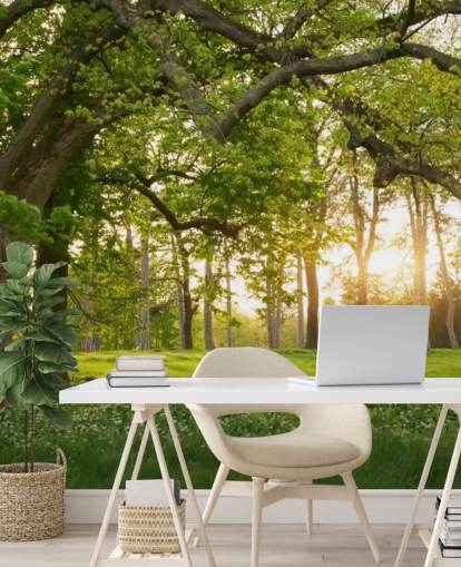 green and brown tree wallpaper mural called Springtime Forest for home offices, lounges and bedrooms