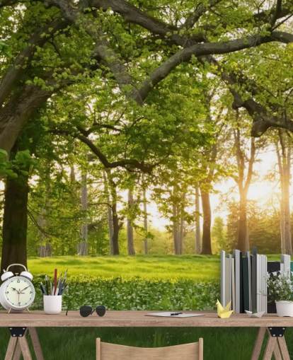 green and brown tree wallpaper mural called Springtime Forest for home offices, lounges and bedrooms