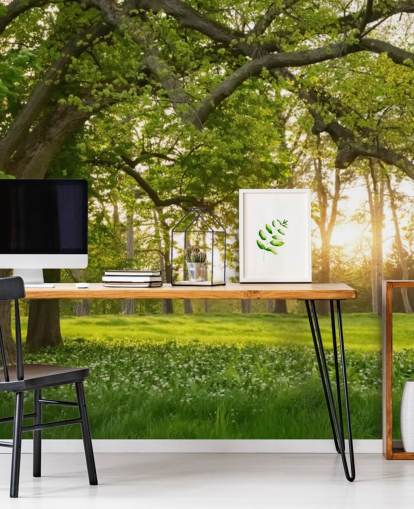 green and brown tree wallpaper mural called Springtime Forest for home offices, lounges and bedrooms