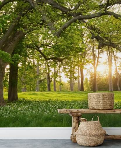 green and brown tree wallpaper mural called Springtime Forest for home offices, lounges and bedrooms