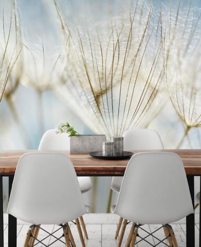 mural de papel de parede de dente-de-leão branco chamado Abstract Dandelion para salões, cozinhas e banheiros