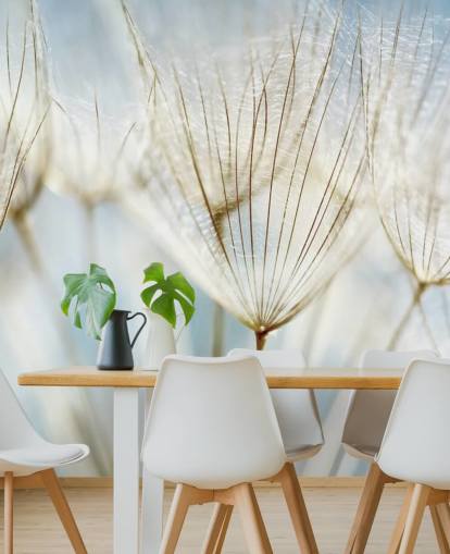 Tapeten-Wandbild mit weißem Löwenzahn namens Abstract Dandelion für Lounges, Küchen und Badezimmer