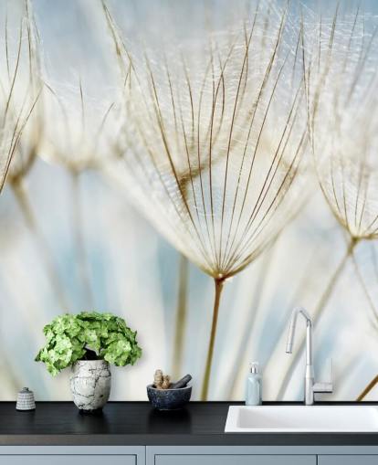 mural de papel de parede de dente-de-leão branco chamado Abstract Dandelion para salões, cozinhas e banheiros