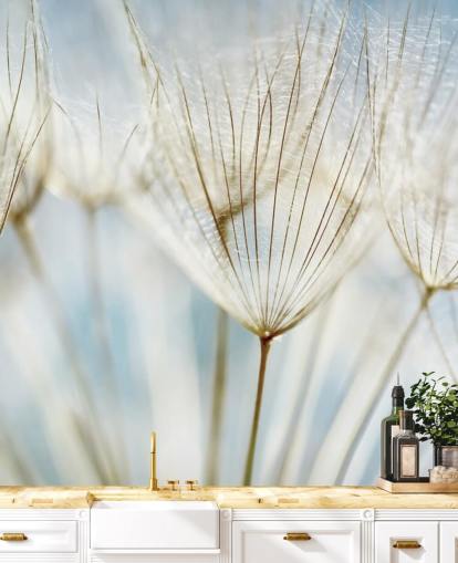 hvit løvetann tapet veggmaleri kalt Abstract Dandelion for salonger, kjøkken og bad