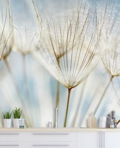 mural de papel de parede de dente-de-leão branco chamado Abstract Dandelion para salões, cozinhas e banheiros