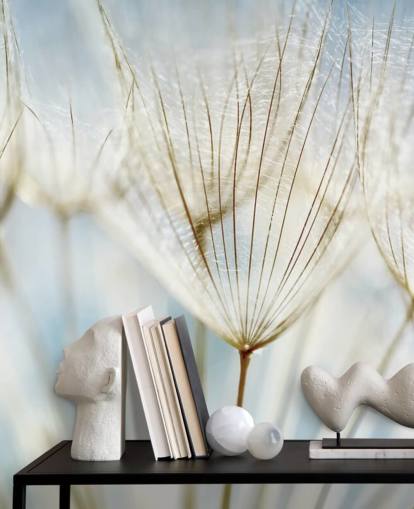 mural de papel de parede de dente-de-leão branco chamado Abstract Dandelion para salões, cozinhas e banheiros