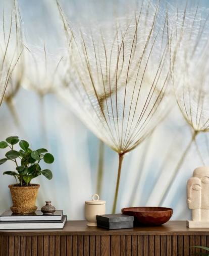 white dandelion wallpaper mural called Abstract Dandelion for lounges, kitchens and bathrooms