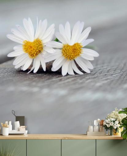 Mural Dos margaritas descansando sobre madera