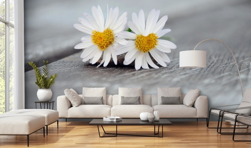 Daisy Wallpaper & Wall Murals | Wallsauce UK