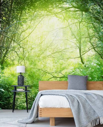 Sunlit Forest Wallpaper Sunlit Forest Wallpaper