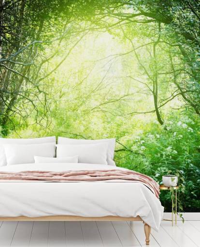 Sunlit Forest Wallpaper