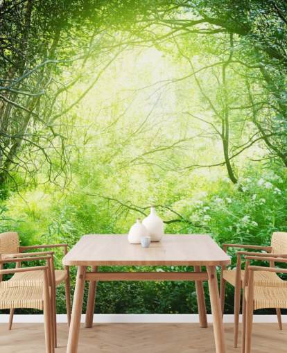 Sunlit Forest Behang