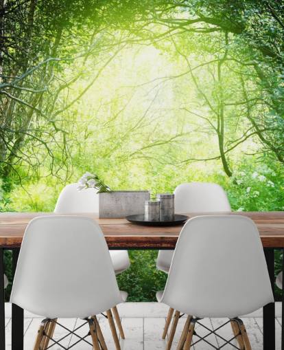 Sunlit Forest Wallpaper