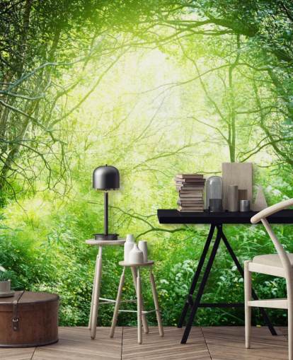 Sunlit Forest Wallpaper