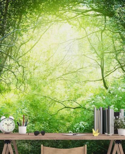 Papel de parede Sunlit Forest Papel de parede Sunlit Forest