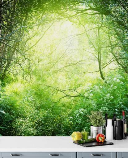 Sunlit Forest Wallpaper