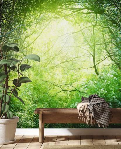 Sunlit Forest Wallpaper