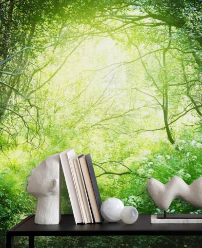 Papier peint Sunlit Forest