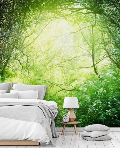 Sunlit Forest Behang