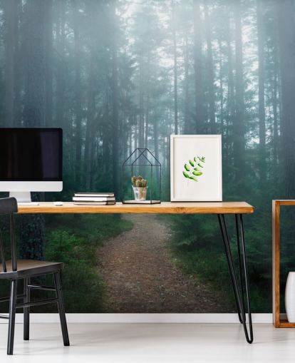 pad met groene bomen in mistig bosbehang