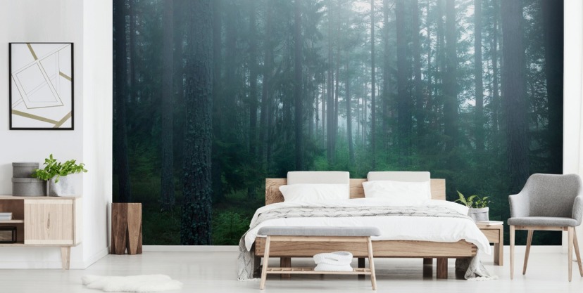 chemin avec des arbres verts dans le papier peint de la forêt brumeuse