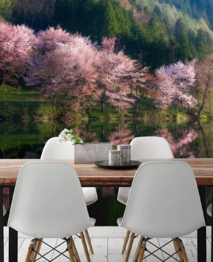 roze kersenbloesembomen bij een meerbehang