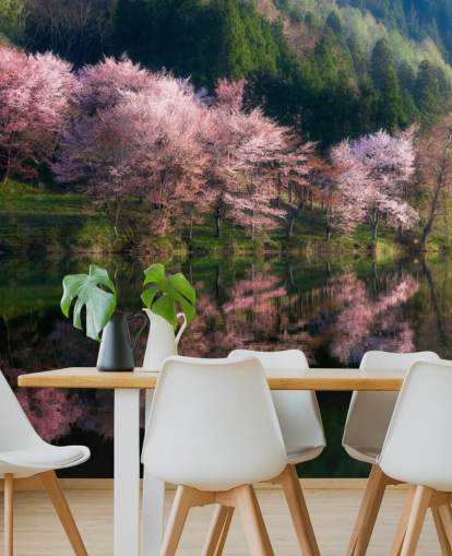 pink kirsebær blomstre træer ved en sø tapet