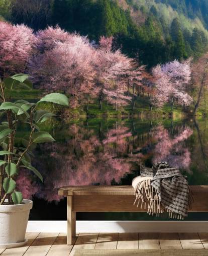 pink cherry blossom trees by a lake wallpaper