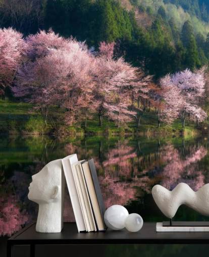 pink cherry blossom trees by a lake wallpaper