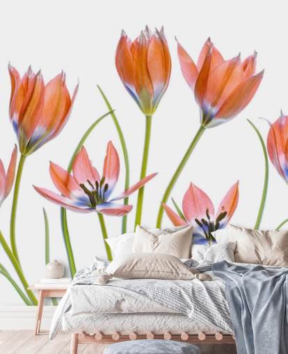 red tulips growing wallpaper