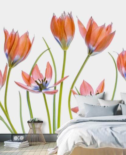 rode tulpen groeiend behang