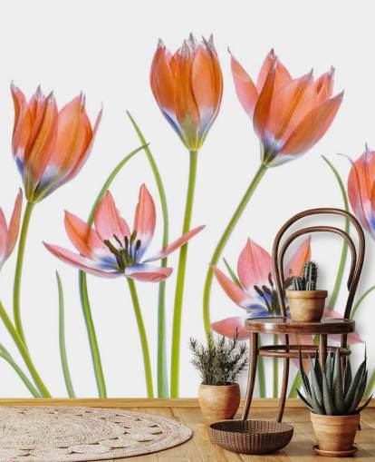 red tulips growing wallpaper red tulips growing wallpaper